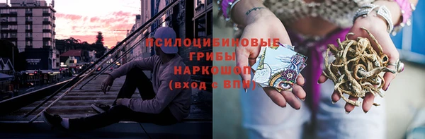 молекула духа Балахна
