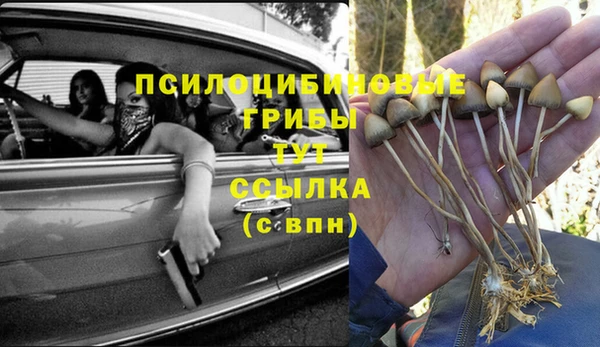 молекула духа Балахна