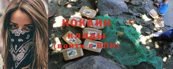 индика Арсеньев