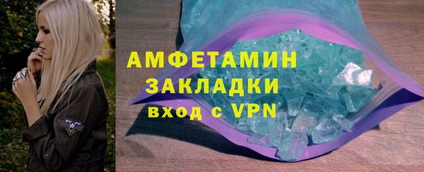 индика Арсеньев