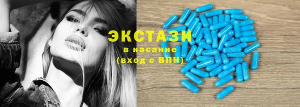 индика Арсеньев