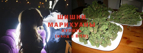 индика Арсеньев