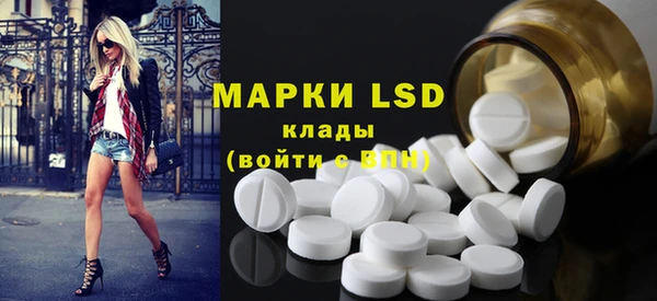 индика Арсеньев